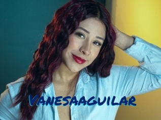 Vanesaaguilar