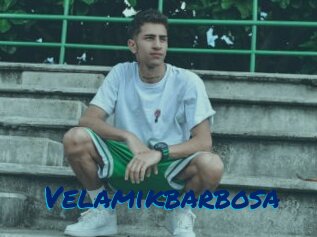 Velamikbarbosa