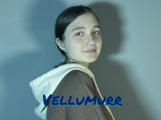 Vellumurr