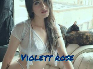 Violett_rose