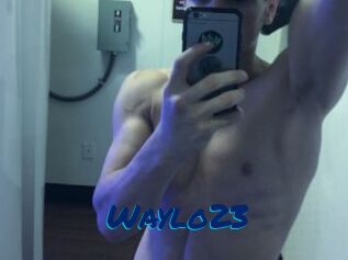 Waylo23