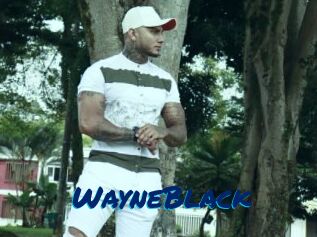 WayneBlack