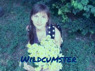 Wildcumster