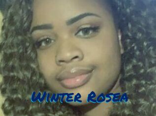 Winter_Rosea