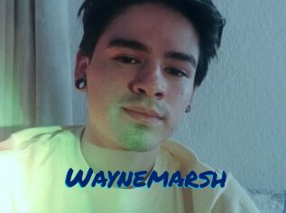 Waynemarsh