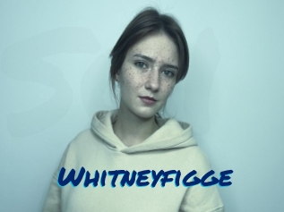 Whitneyfigge