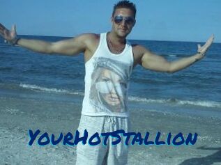 YourHotStallion