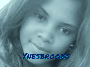 Ynesbrooks